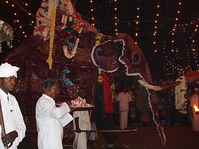 Kataragama Perahera